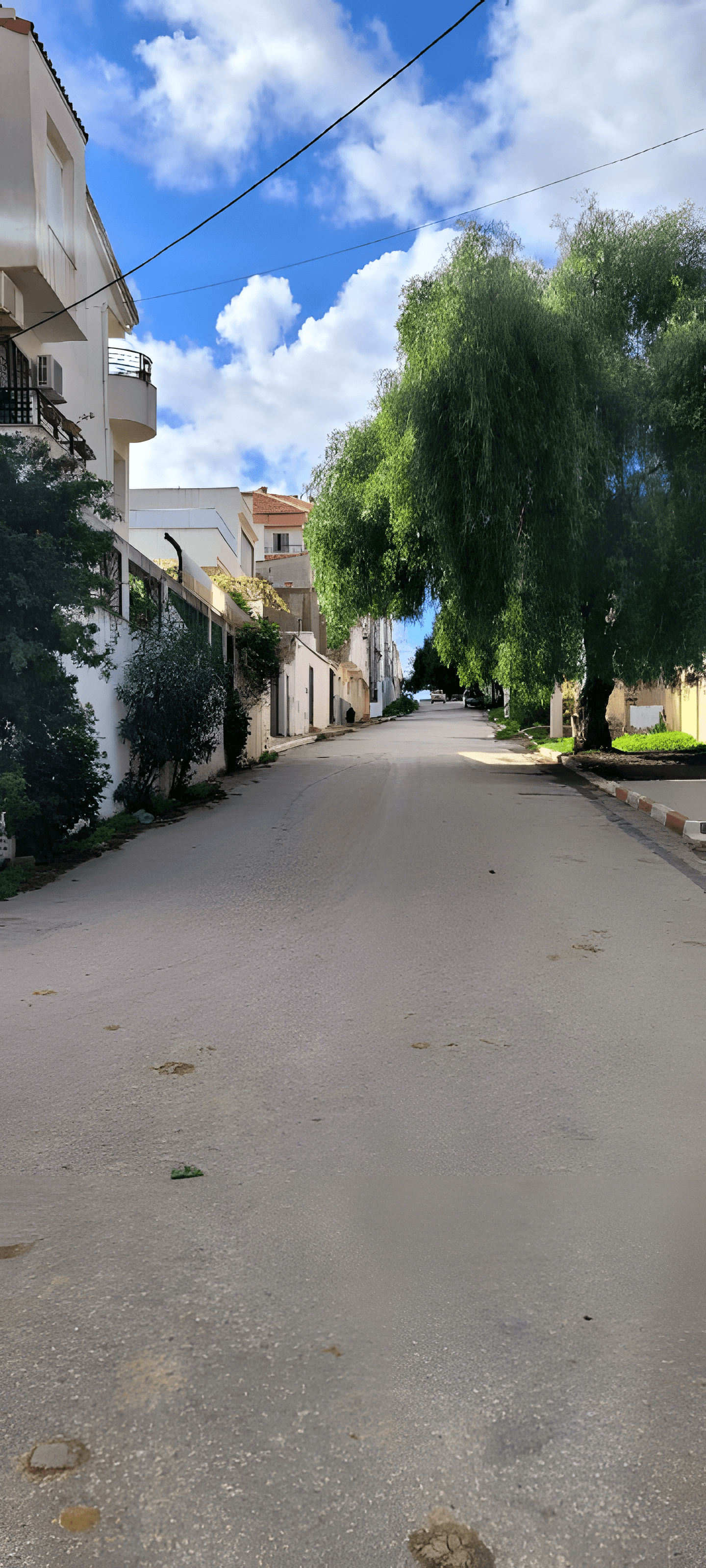 Vente Terrain Alger El Achour - Photo 1