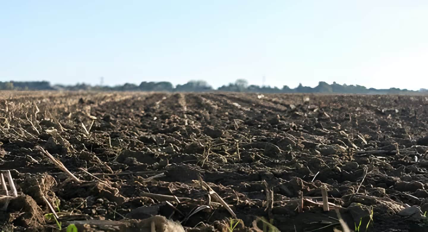 Vente Terrain Oran Oran - Photo 1