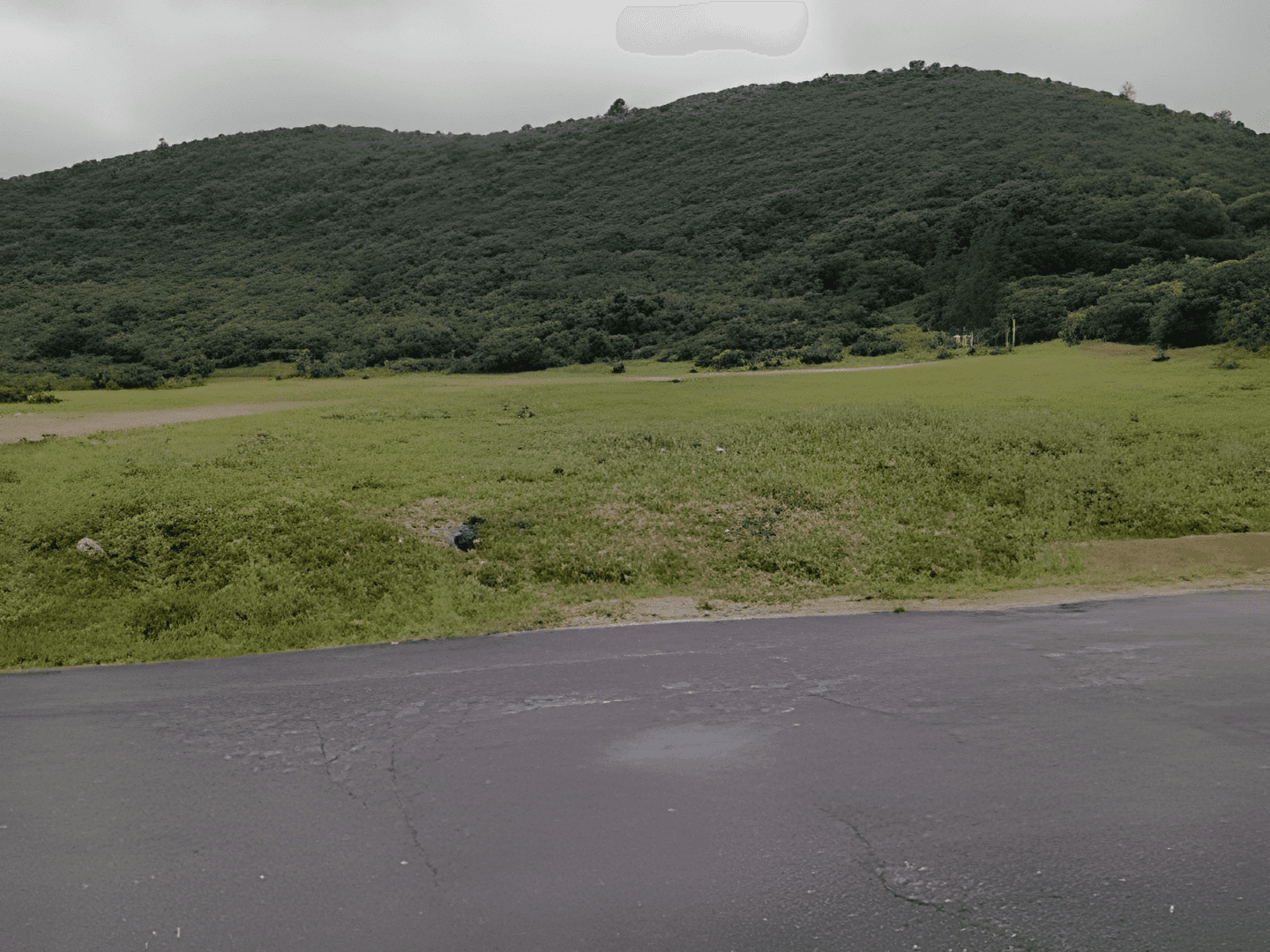 Vente Terrain Boumerdès Tidjelabine - Photo 1