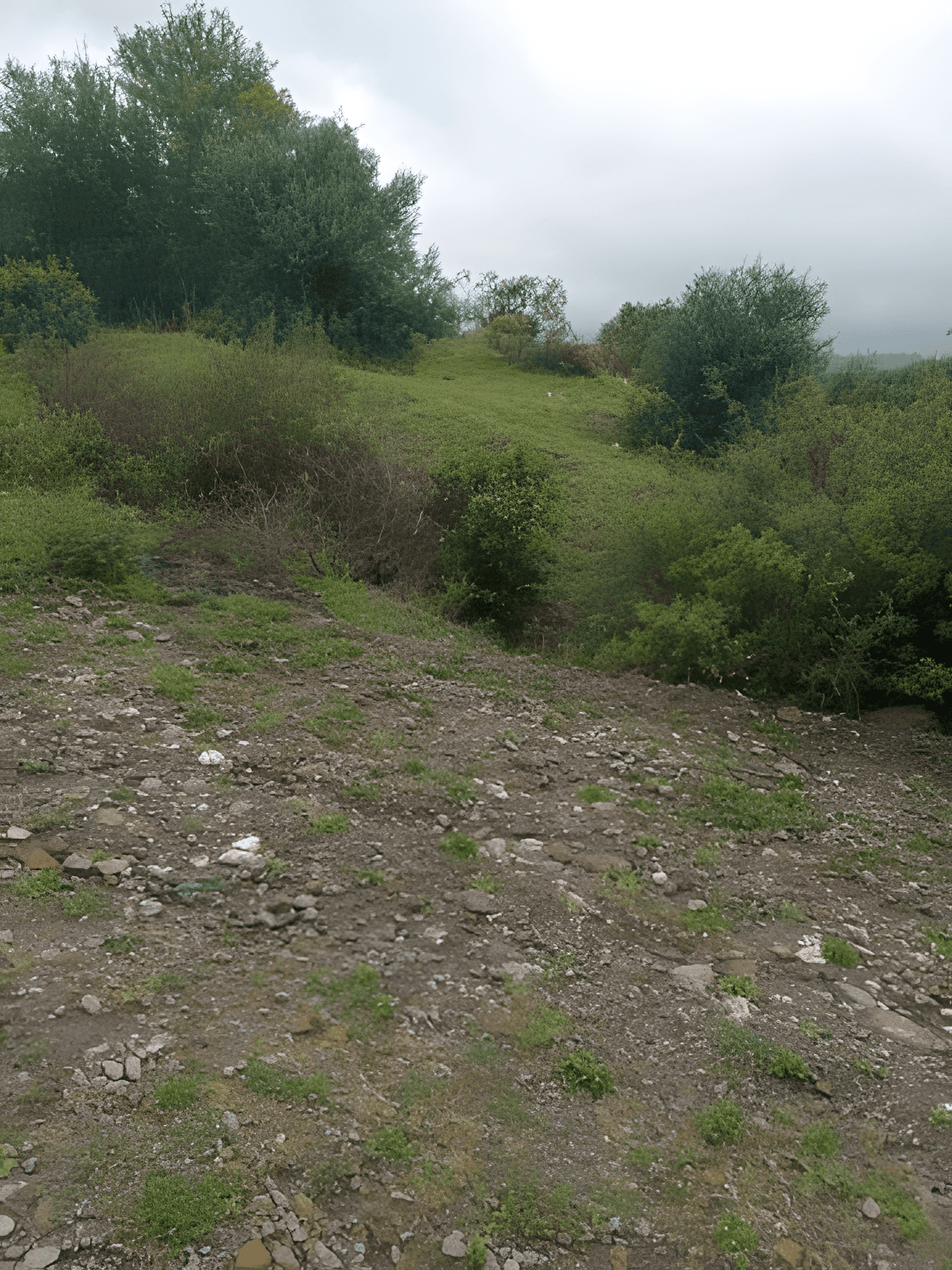 Vente Terrain Boumerdès Tidjelabine - Photo 1