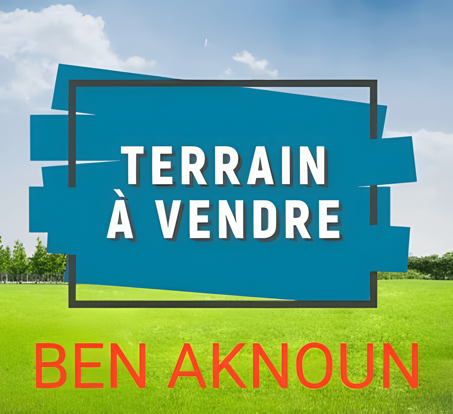 Vente Terrain Alger Ben Aknoun - Photo 1
