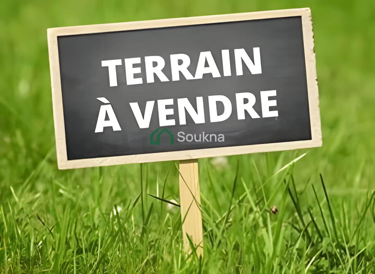Vente Terrain Oran Es Senia - Photo 1