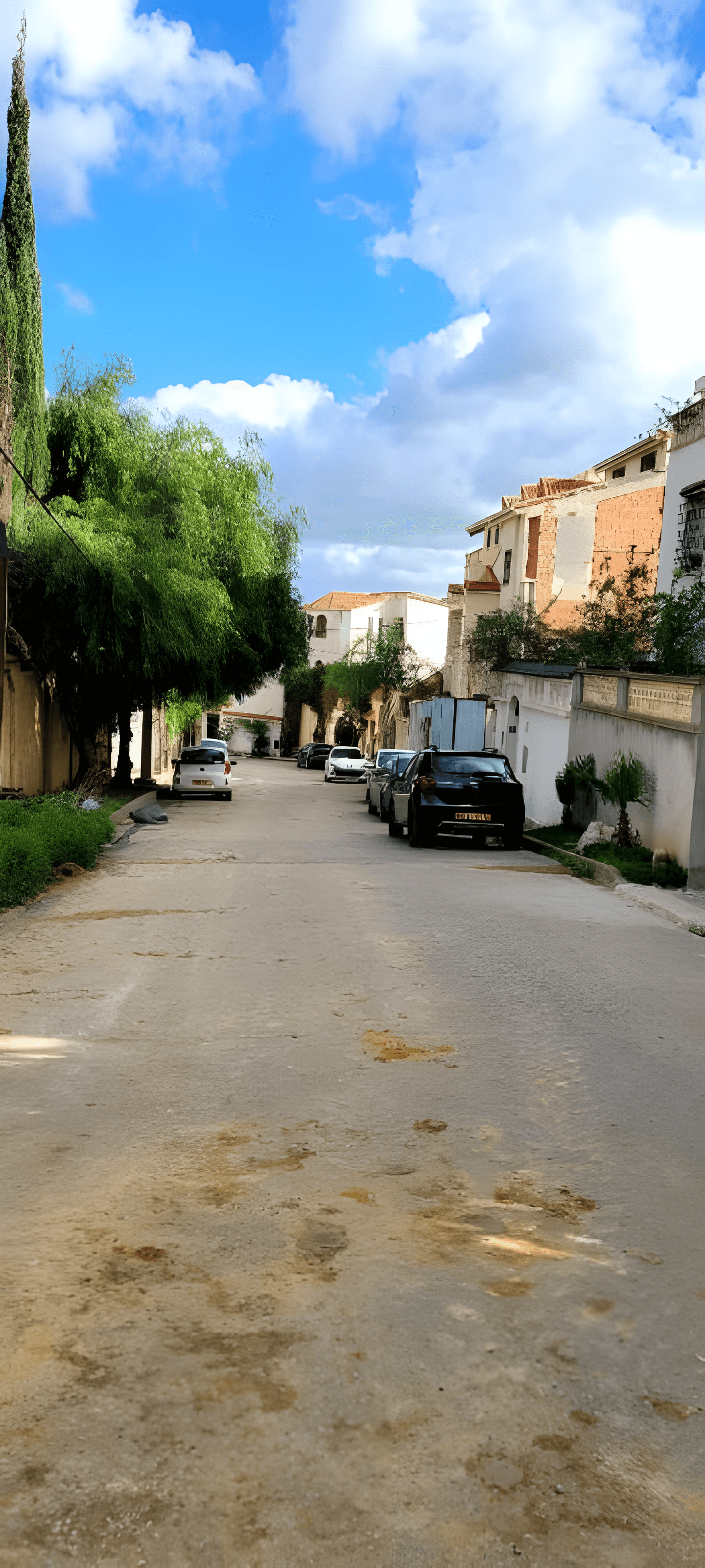 Vente Carcasse Alger El Achour - Photo 2