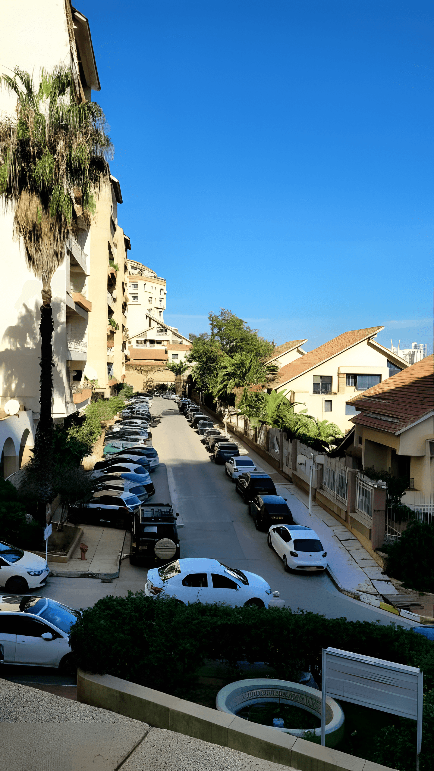 Location Local Alger Ben Aknoun - Photo 2