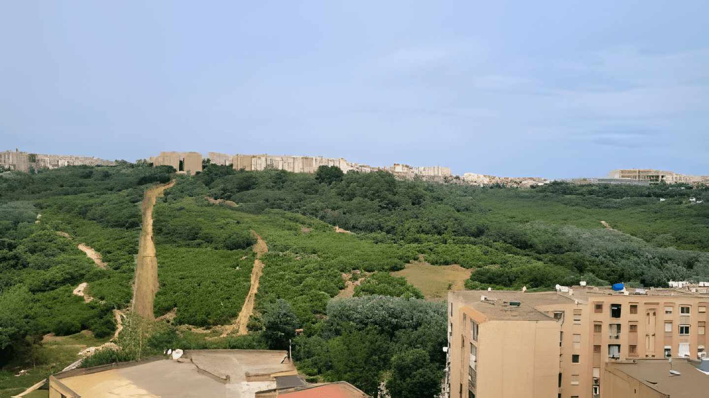 Vente Appartement F3 Alger Draria - Photo 2