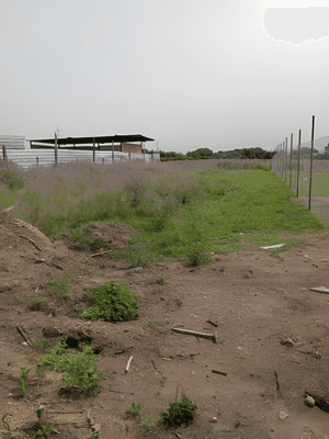 Vente Terrain Boumerdès Boudouaou - Photo 2