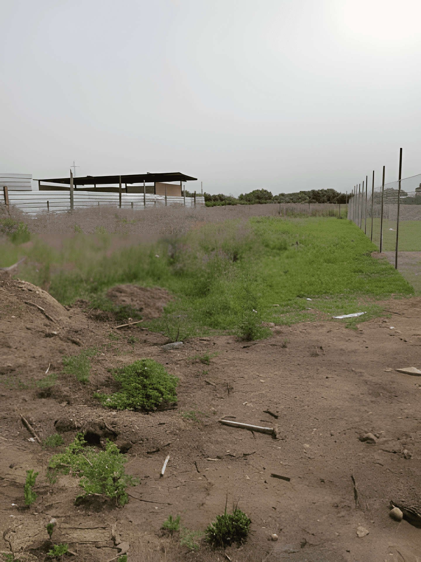 Vente Terrain Boumerdès Boudouaou - Photo 2