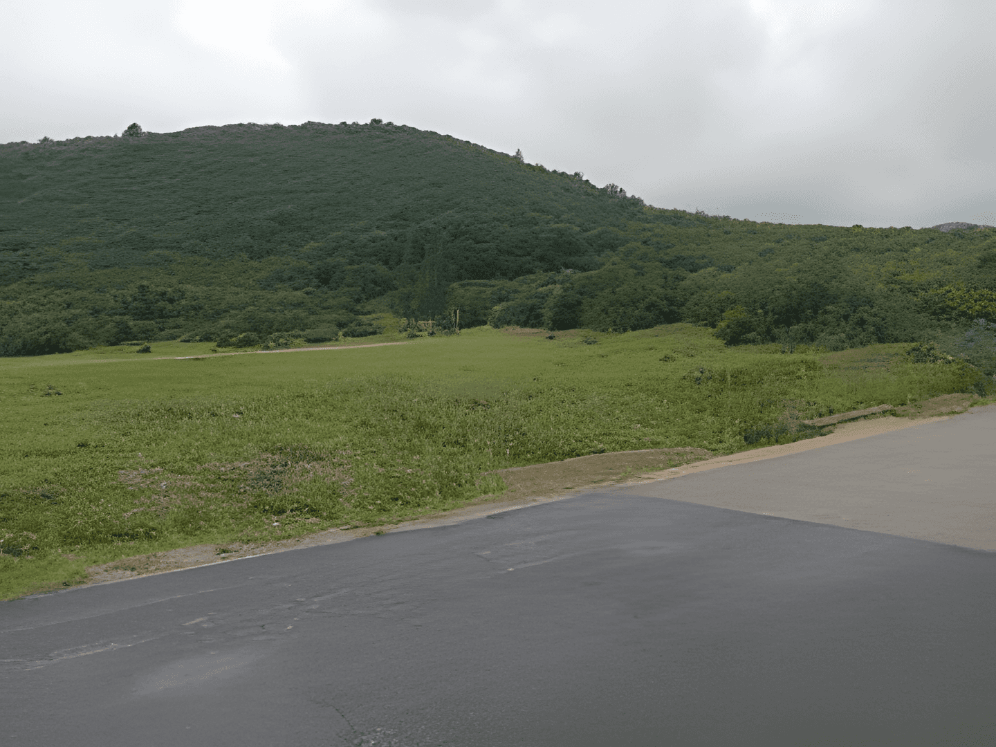 Vente Terrain Boumerdès Tidjelabine - Photo 2