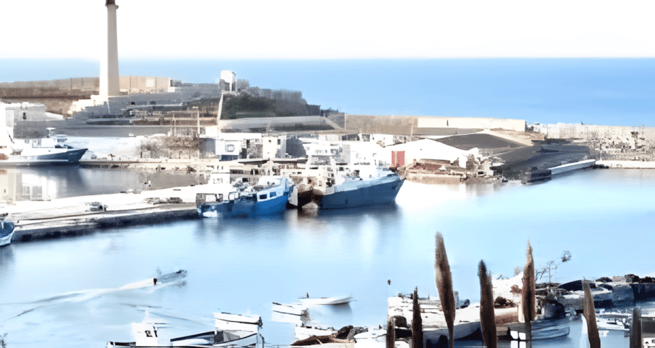 Vente Terrain Boumerdès Djinet - Photo 2