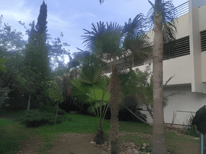 Vente Villa Alger Cheraga - Photo 2