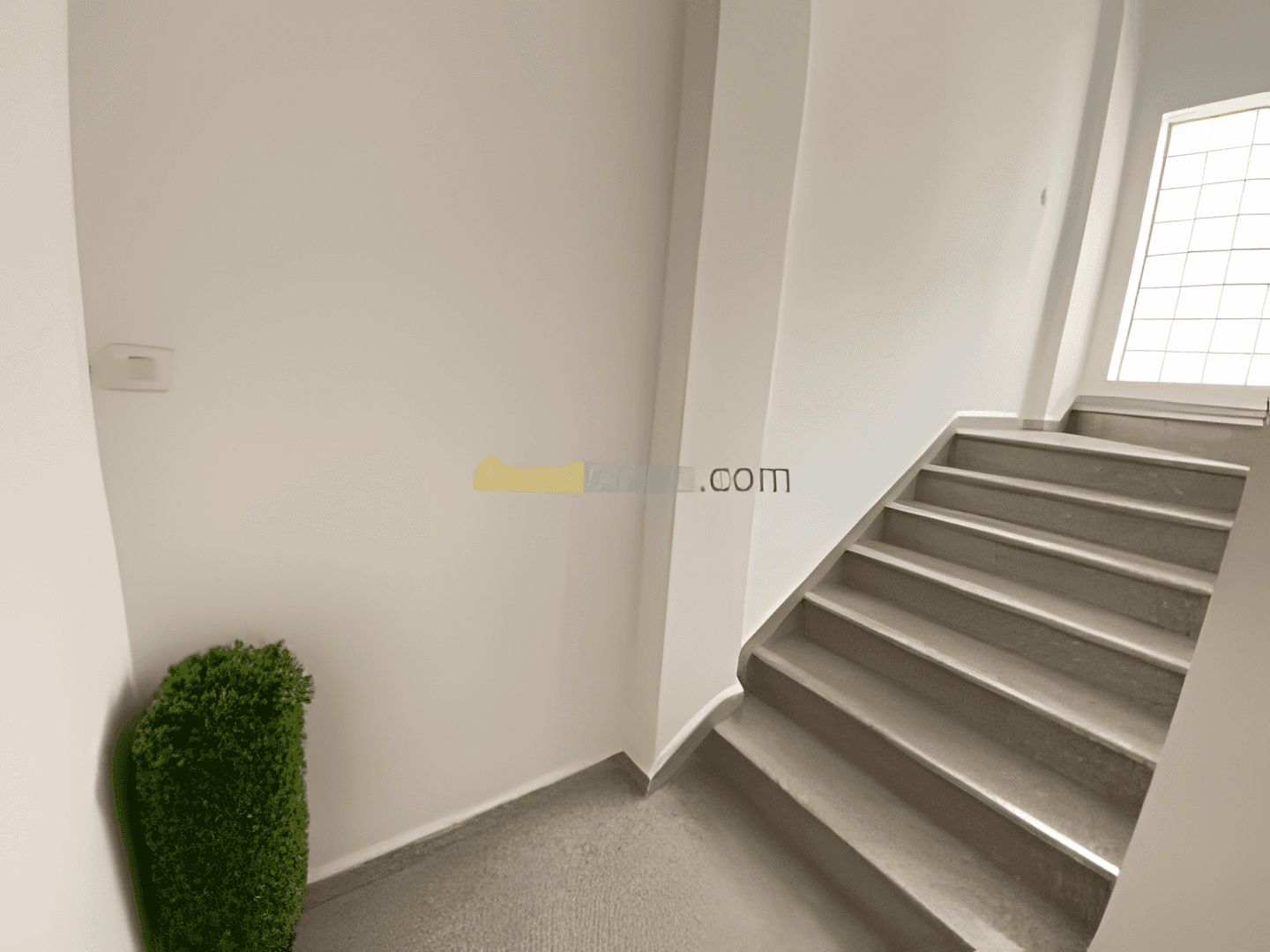 Location Local Alger Hydra - Photo 3