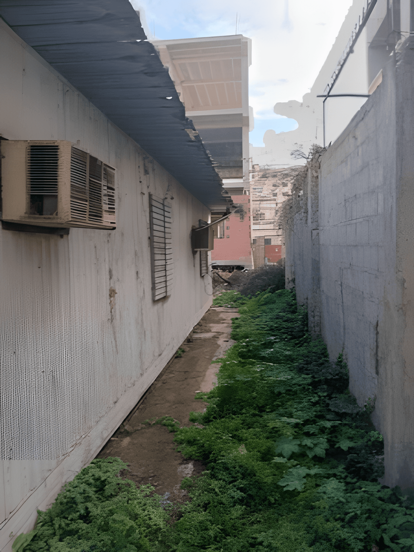 Vente Terrain Boumerdès Boumerdes - Photo 3