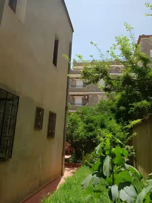 Vente Villa Alger Draria - Photo 3