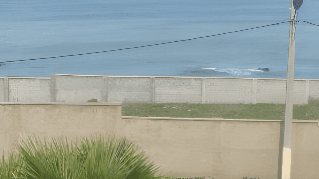 Vente Terrain Boumerdès Djinet - Photo 3