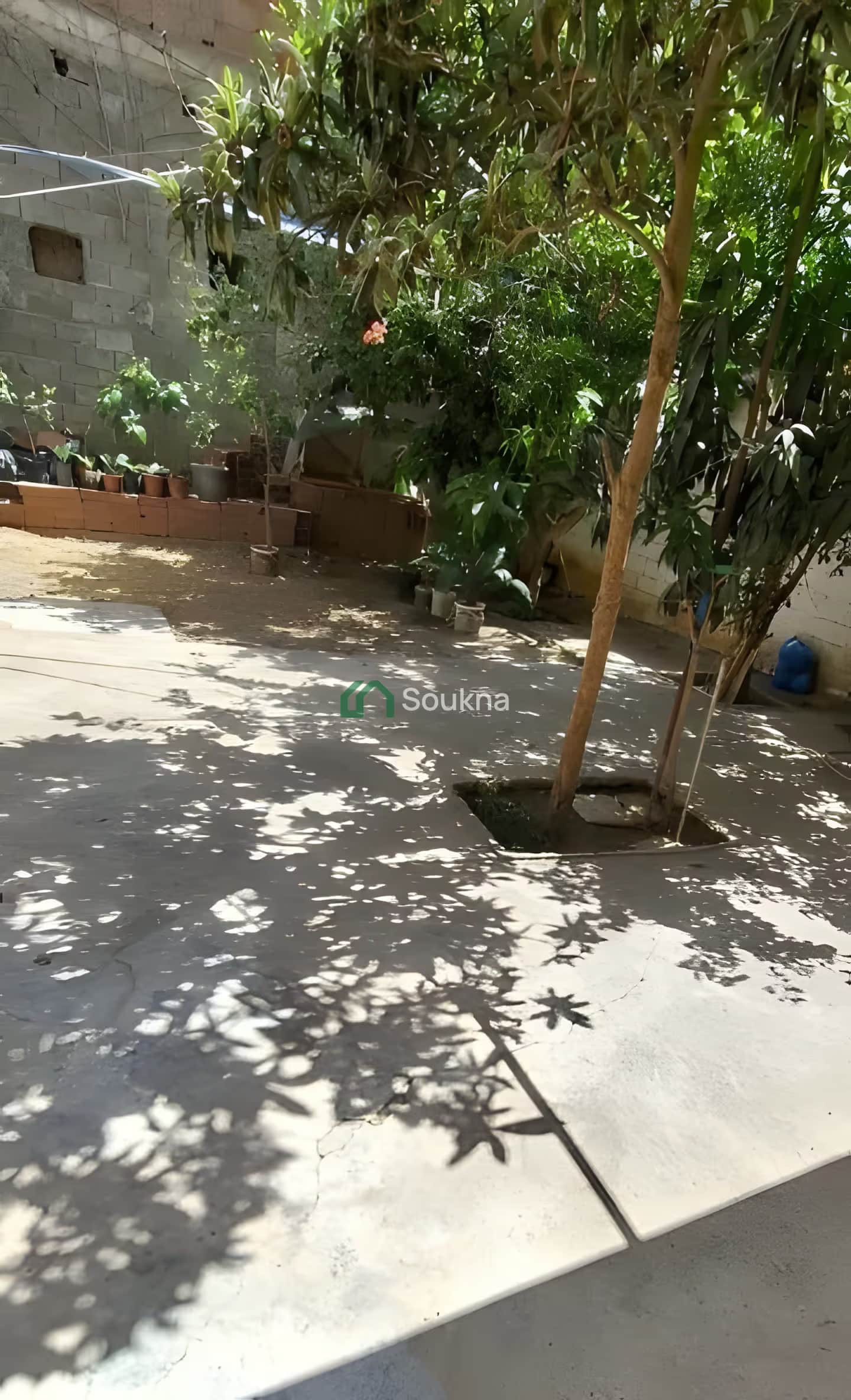 بيع فيلا الجزائر دار البيضاء - Photo 3