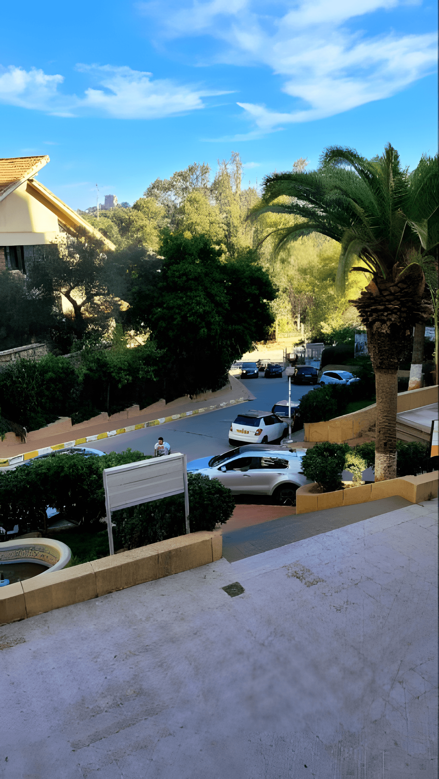 Vente Local Alger Ben Aknoun - Photo 3