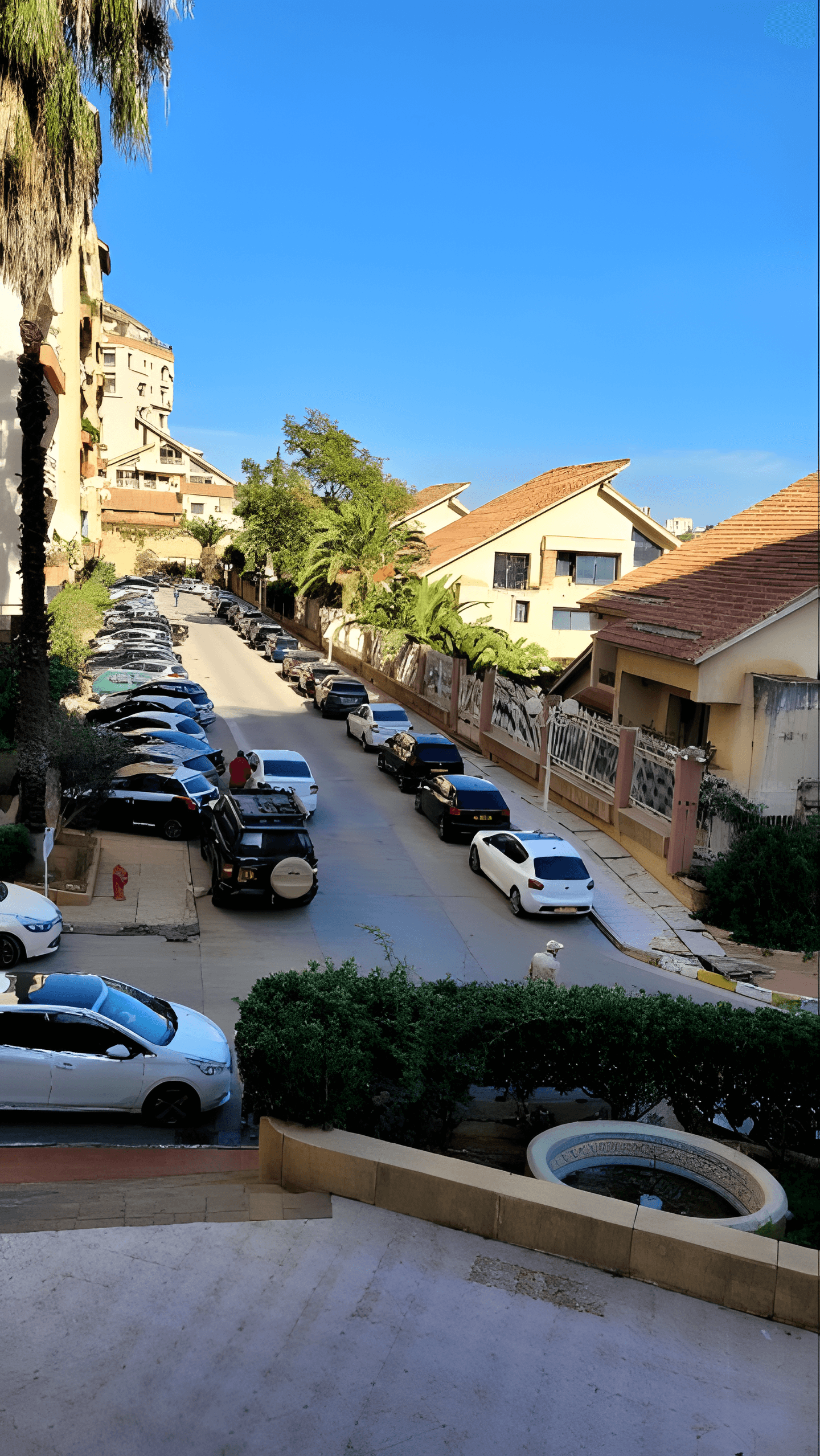 Location Local Alger Ben Aknoun - Photo 3