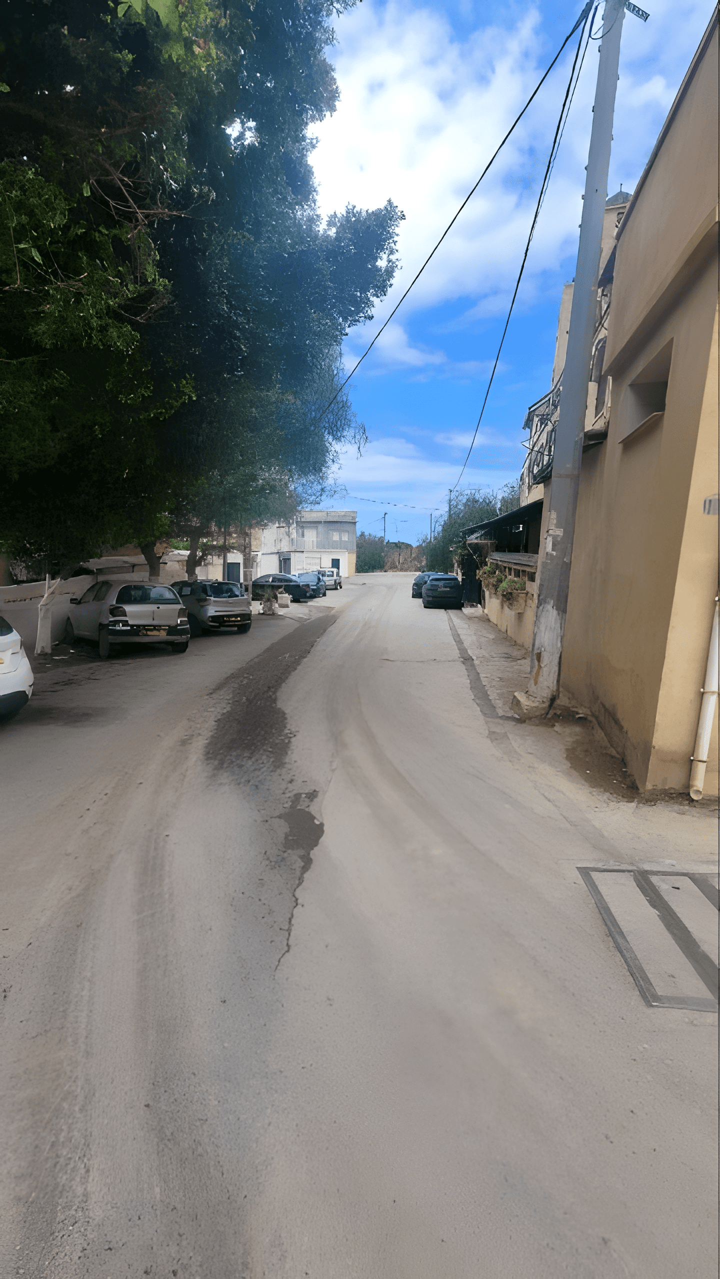 Vente Terrain Alger Cheraga - Photo 3