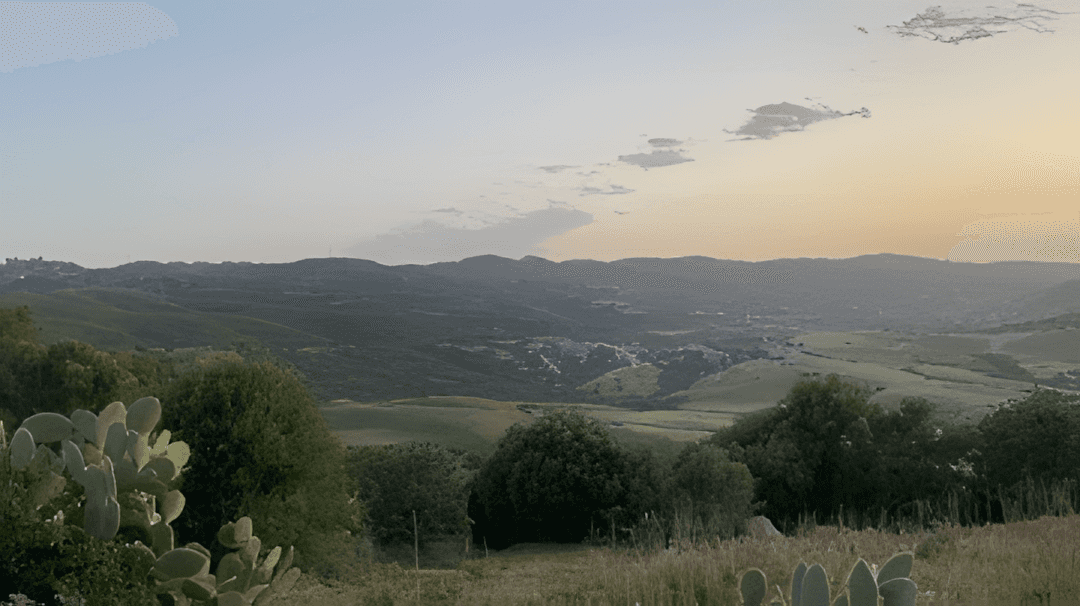 Vente Terrain Boumerdès Zemmouri - Photo 1