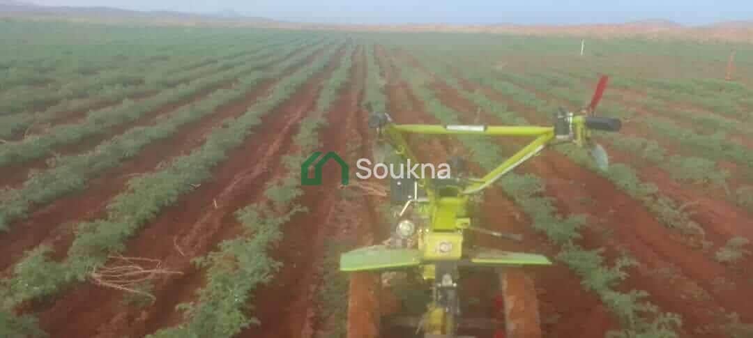 À vendre terrain agricole - Photo 1