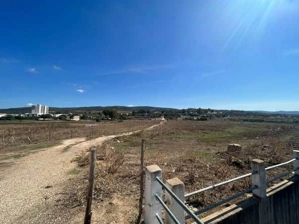 À vendre : Terrain de 289 m² – Centre-ville d’El Tarf - Photo 1