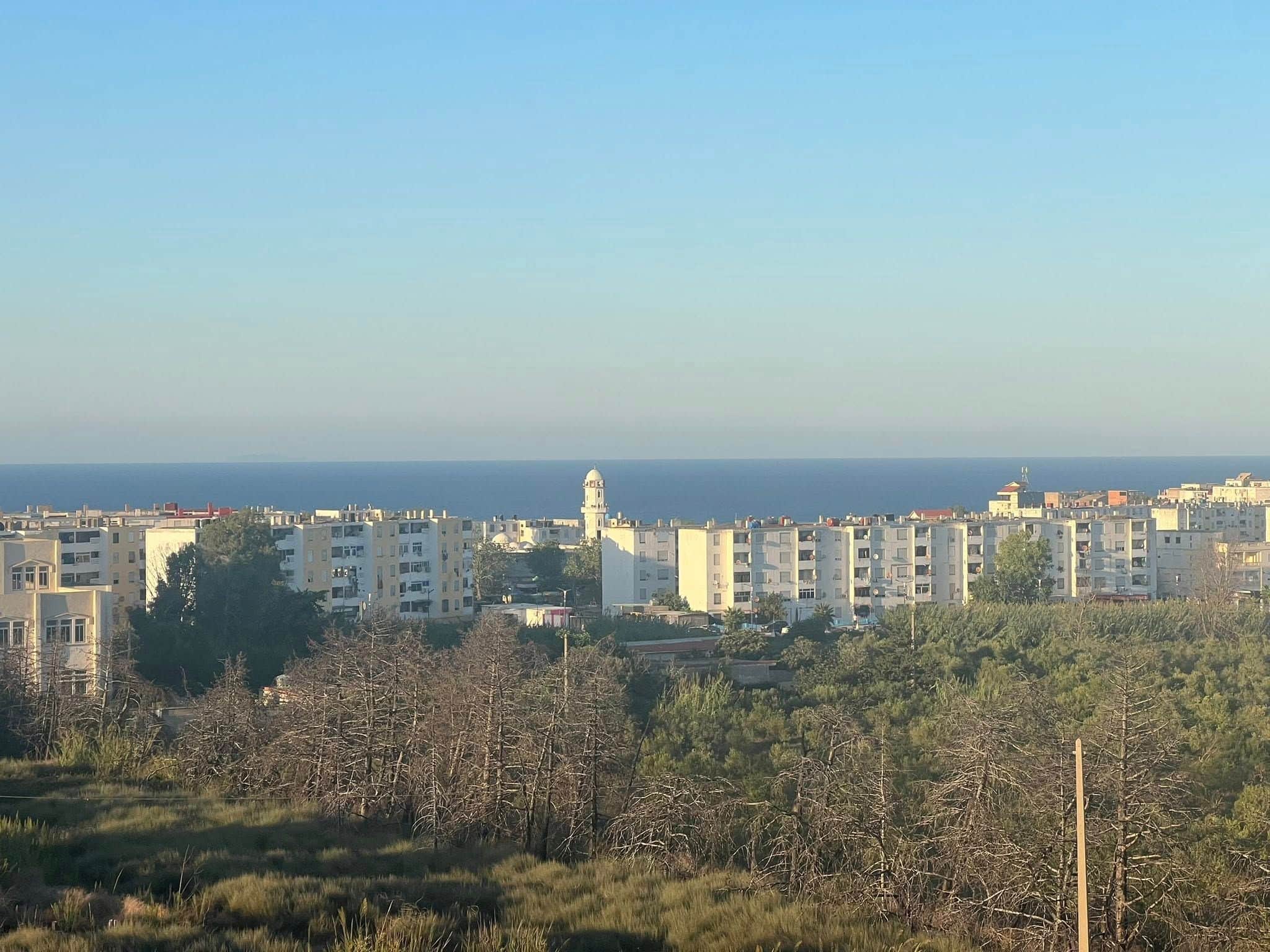 Appartement F3 à vendre – El Kala - Photo 1