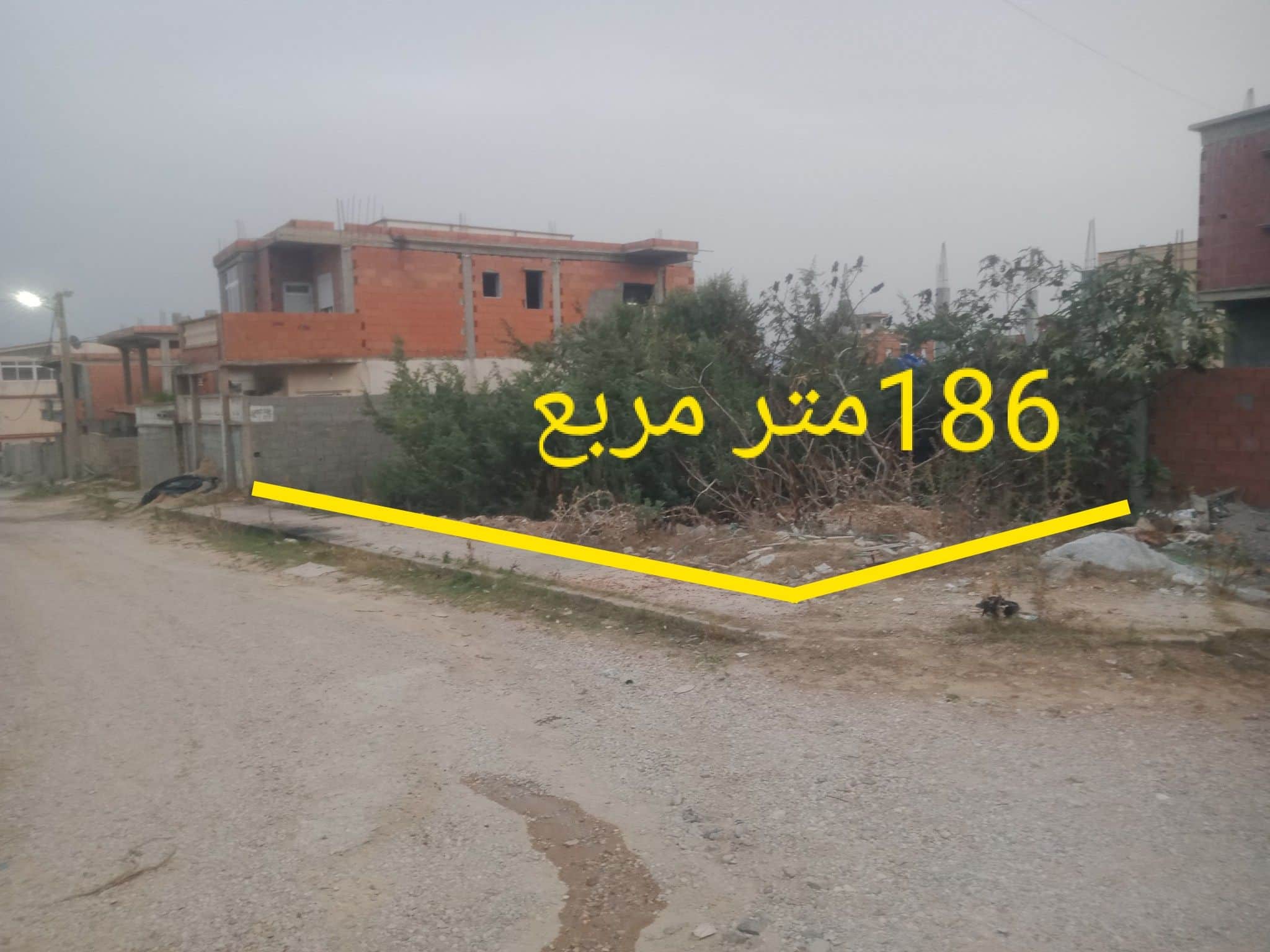 Terrain à vendre à El Kala – Usage résidentiel ou commercial - Photo 1