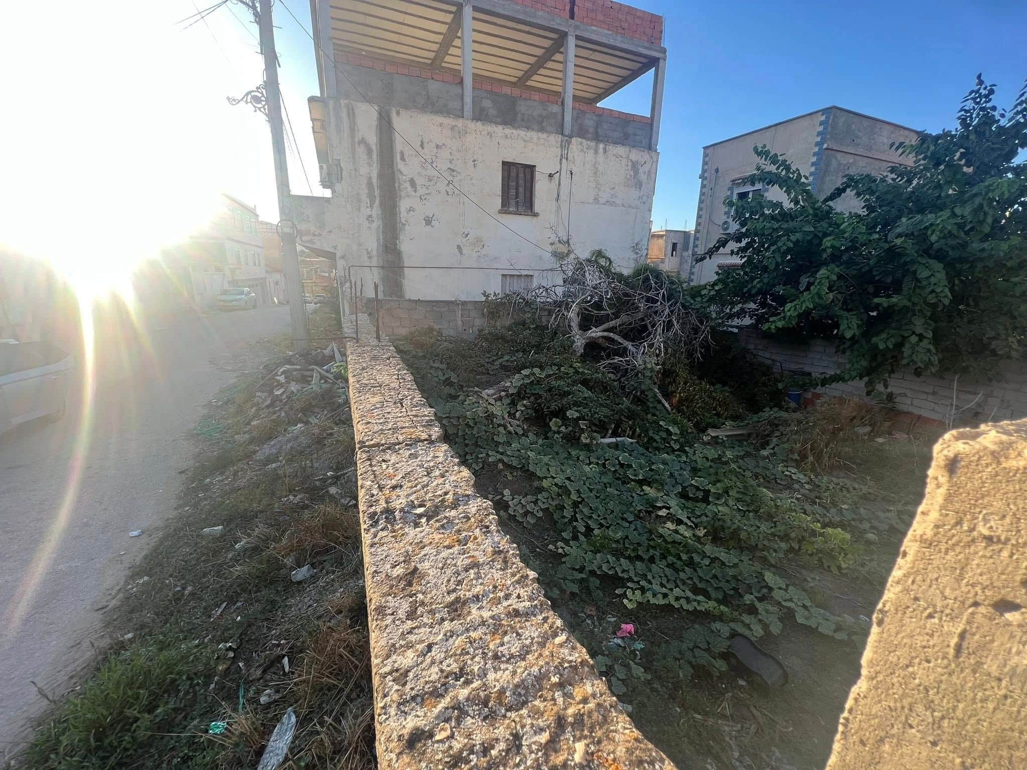 À vendre : Terrain résidentiel constructible au centre-ville d’El Kala - Photo 2