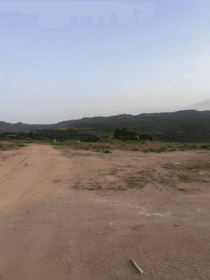 Vente Terrain Boumerdès Zemmouri - Photo 2