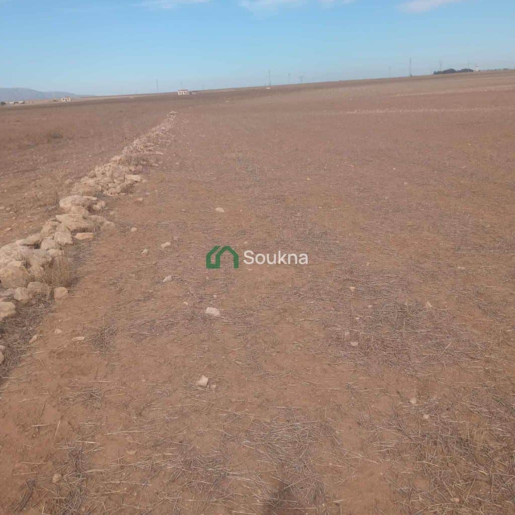  ارض فلاحية - Photo 2
