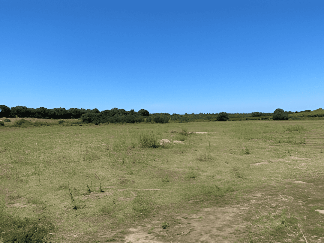 Vente Terrain Boumerdès Zemmouri - Photo 2