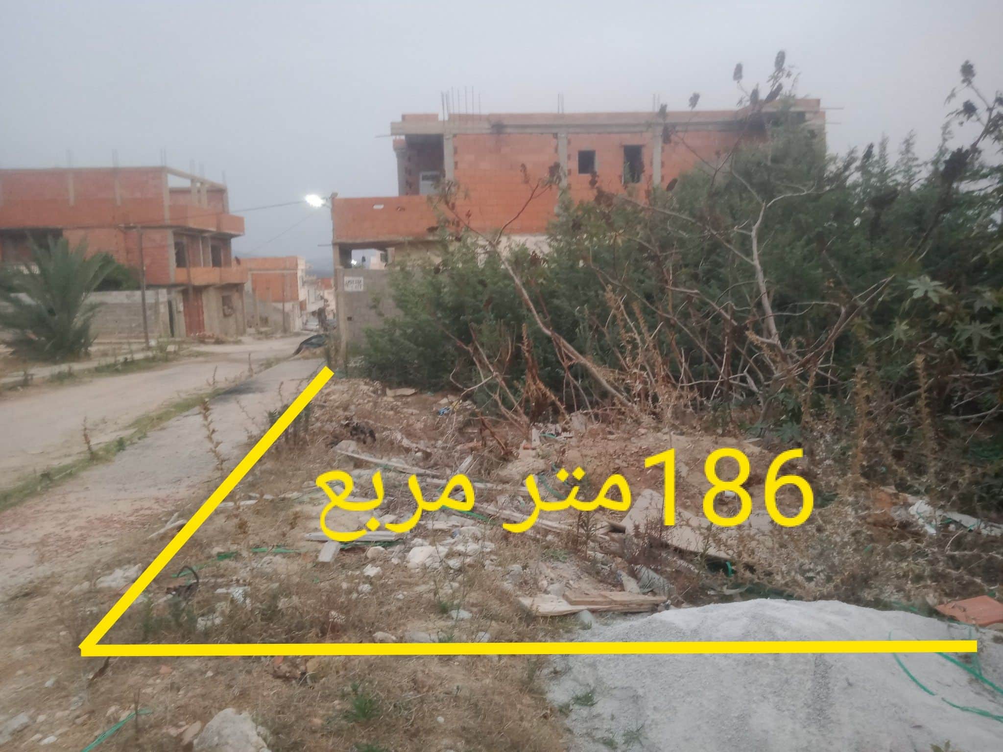 Terrain à vendre à El Kala – Usage résidentiel ou commercial - Photo 2