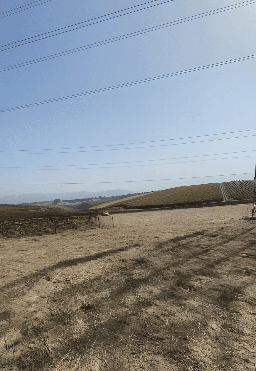 Vente Terrain Boumerdès Boumerdes - Photo 3