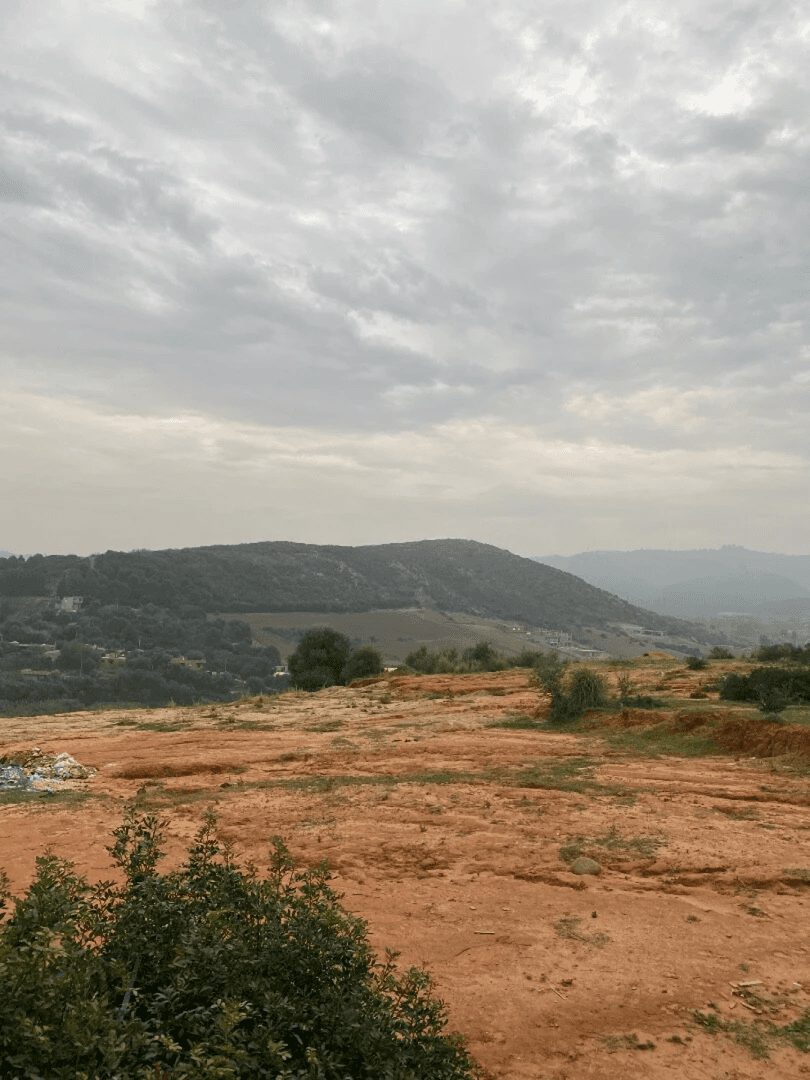 Vente Terrain Boumerdès Boumerdes - Photo 2