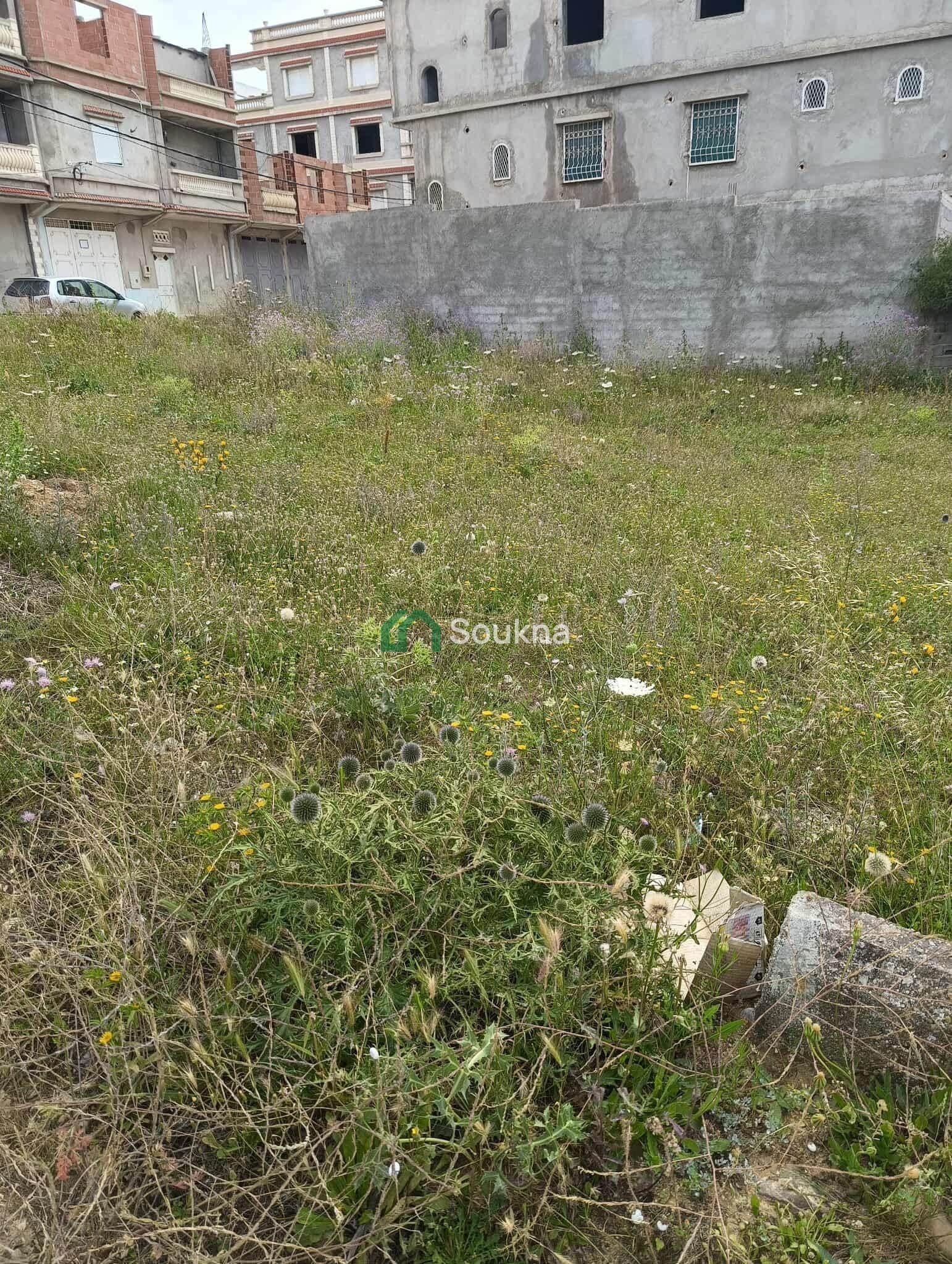 Terrain à vendre - Photo 3