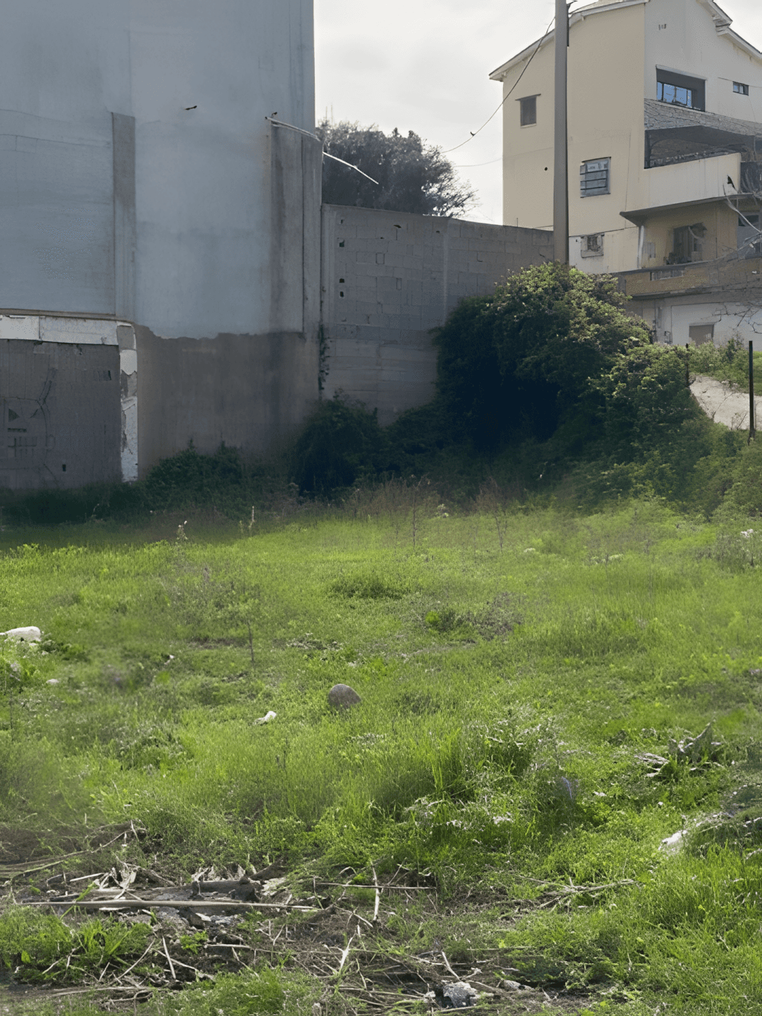 Vente Terrain Boumerdès Boudouaou - Photo 3