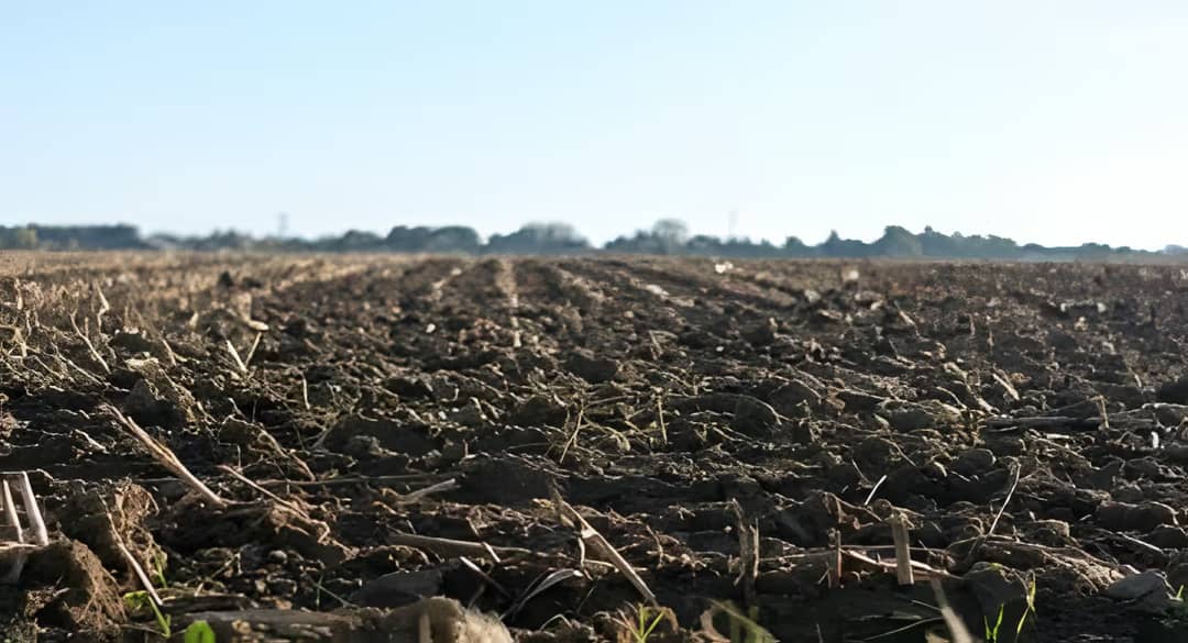 Vente Terrain Oran Oran - Photo 1