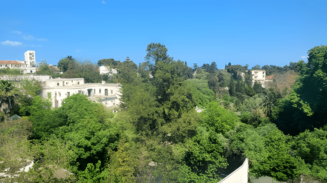 Vente Villa Alger El Biar - Photo 1