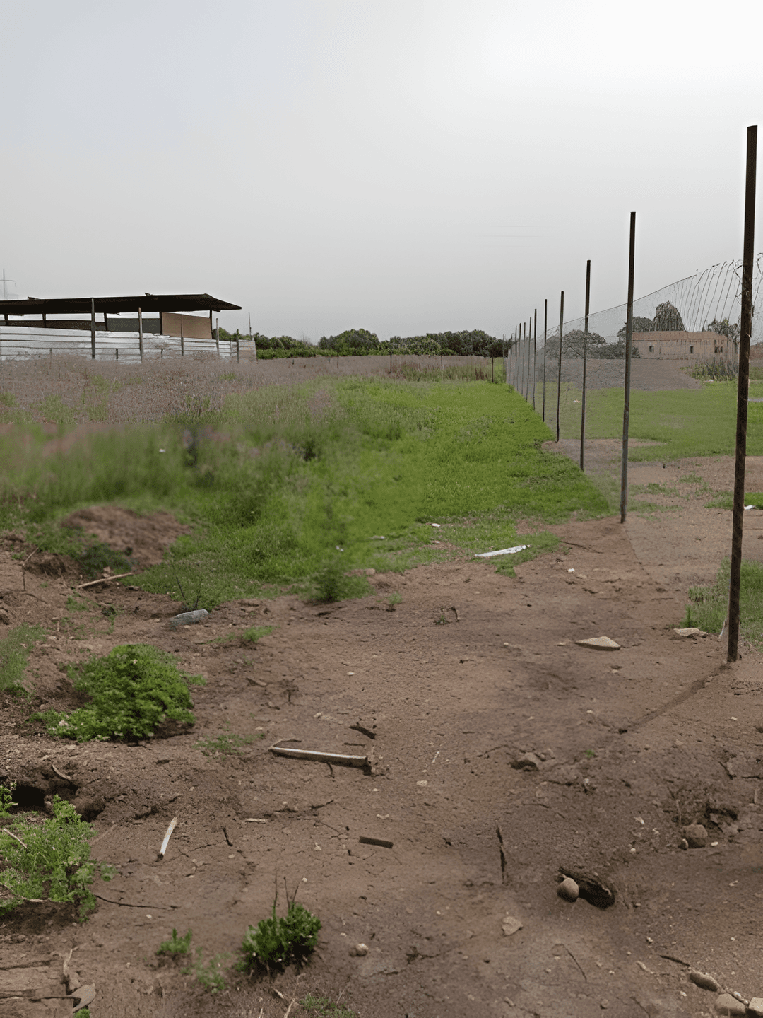 Vente Terrain Boumerdès Boudouaou - Photo 1