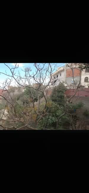 Vente Terrain Tipaza Bou Haroun-0