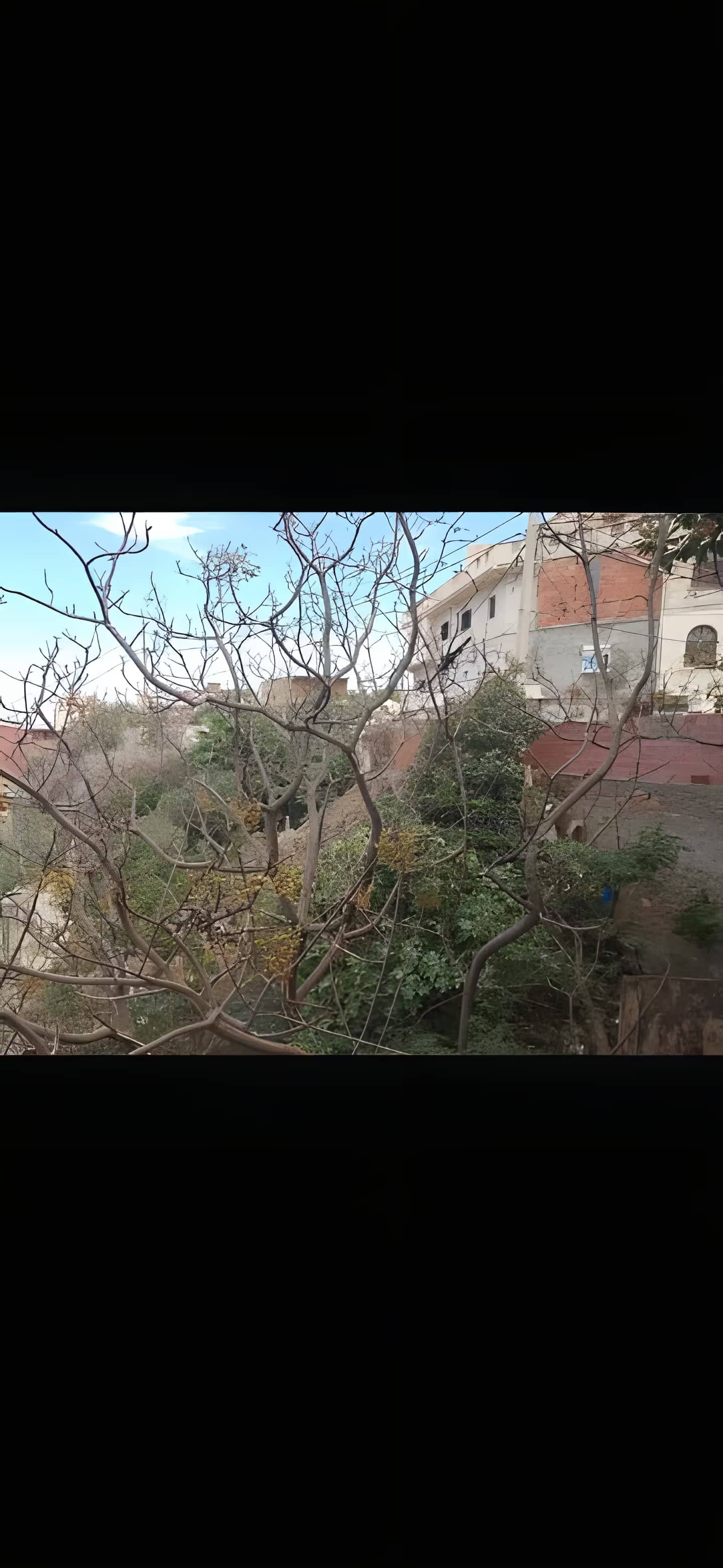 Vente Terrain Tipaza Bou Haroun-0