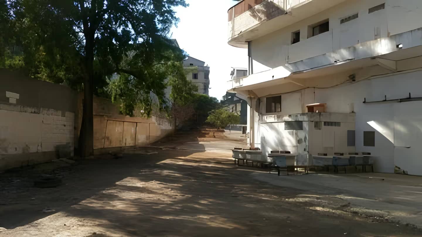 Vente Terrain Alger El Achour-0