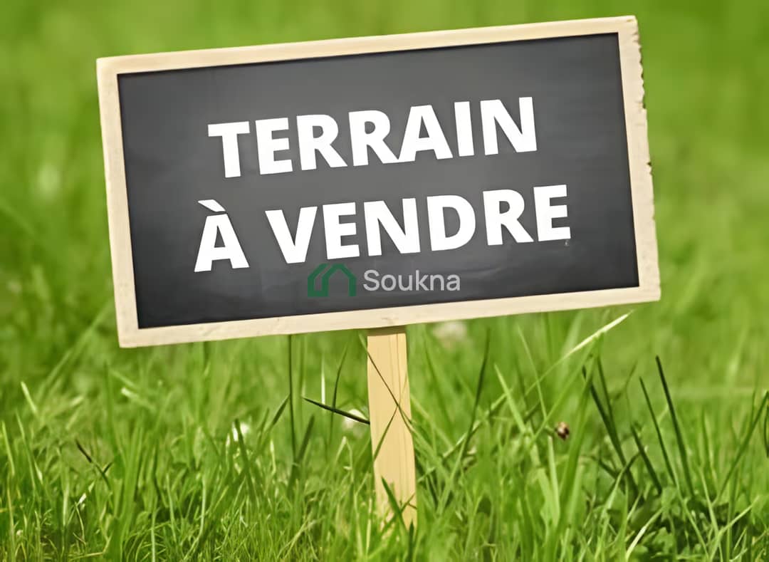 Vente Terrain Oran Es Senia - Photo 1
