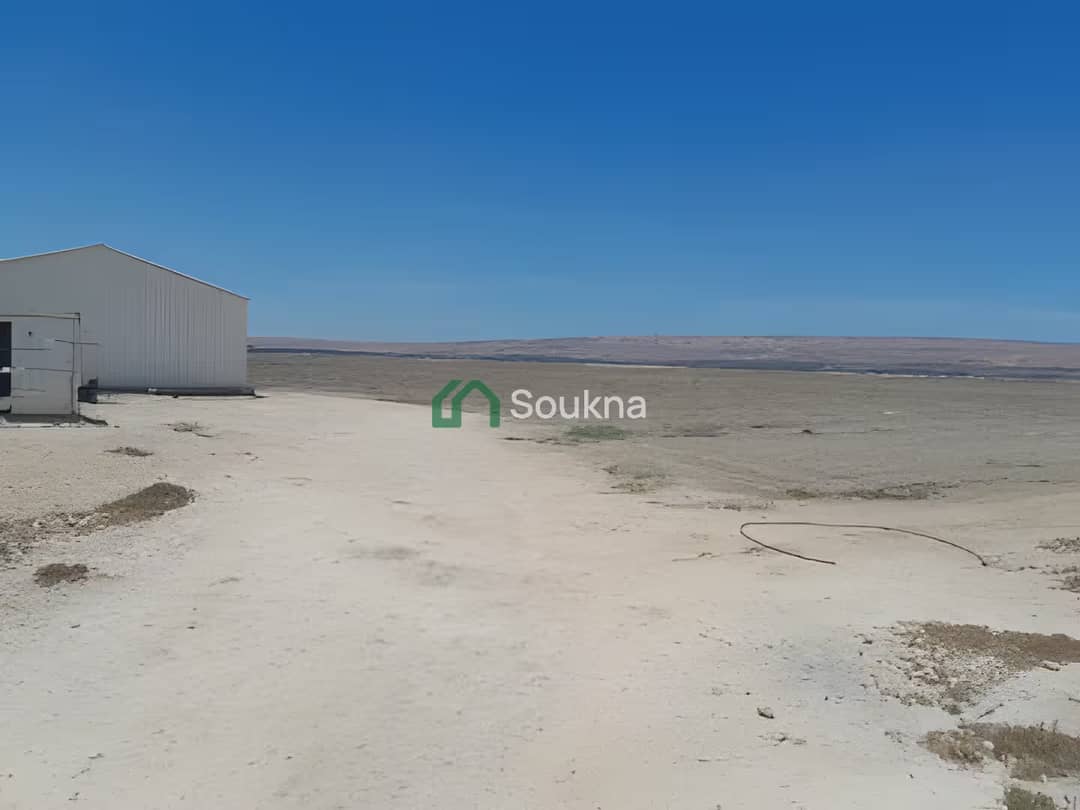 Vente Terrain Agricole Relizane El Matmar - Photo 1