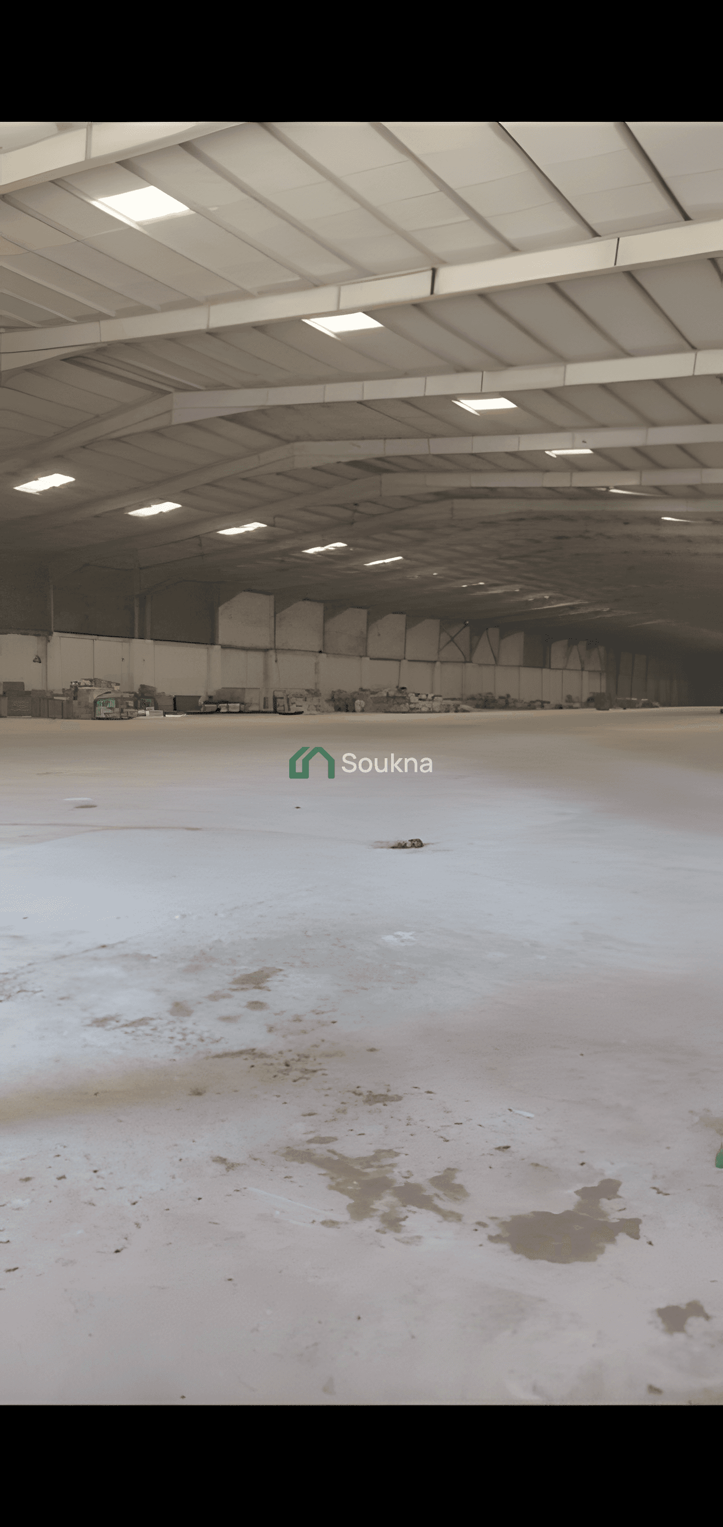 Location Hangar Oran Oued Tlelat