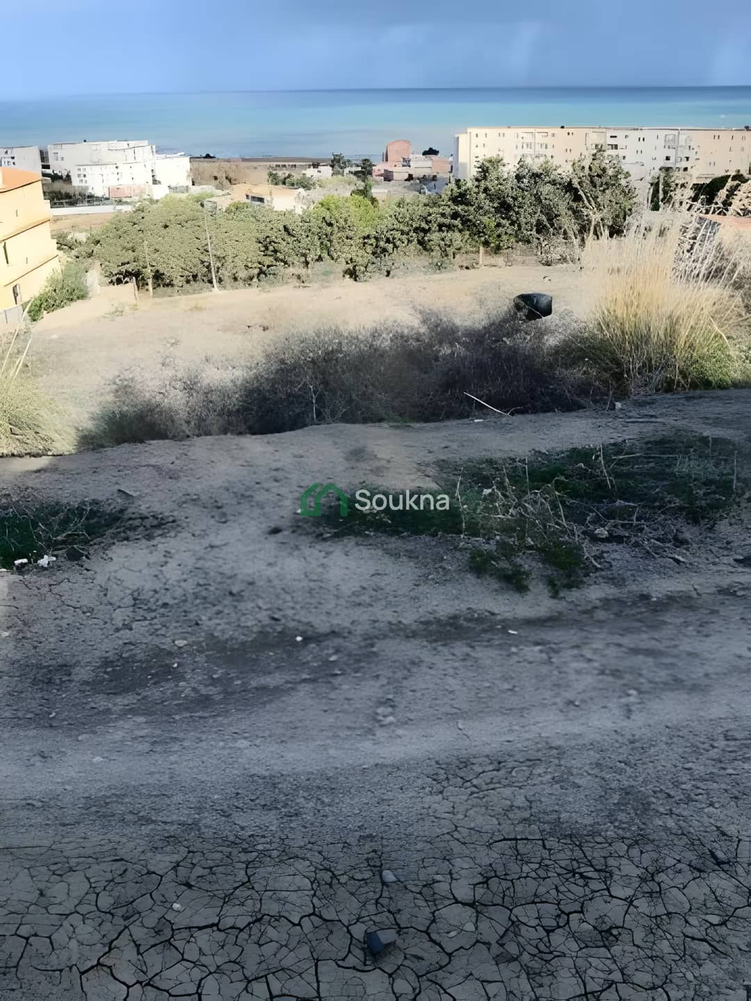بيع أرض تيبازة شرشال - Photo 1
