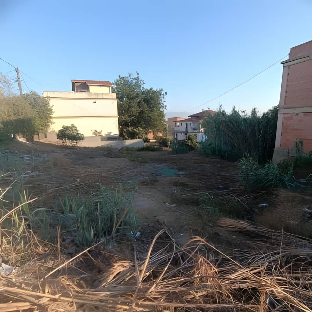 Vente Terrain Alger Douera-0