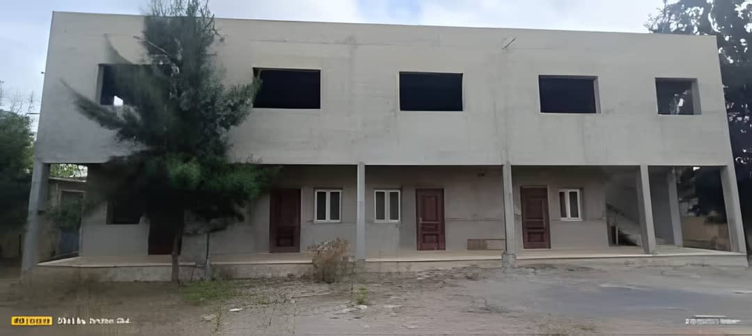 Vente Hangar - Usine Tipaza Kolea - Photo 2