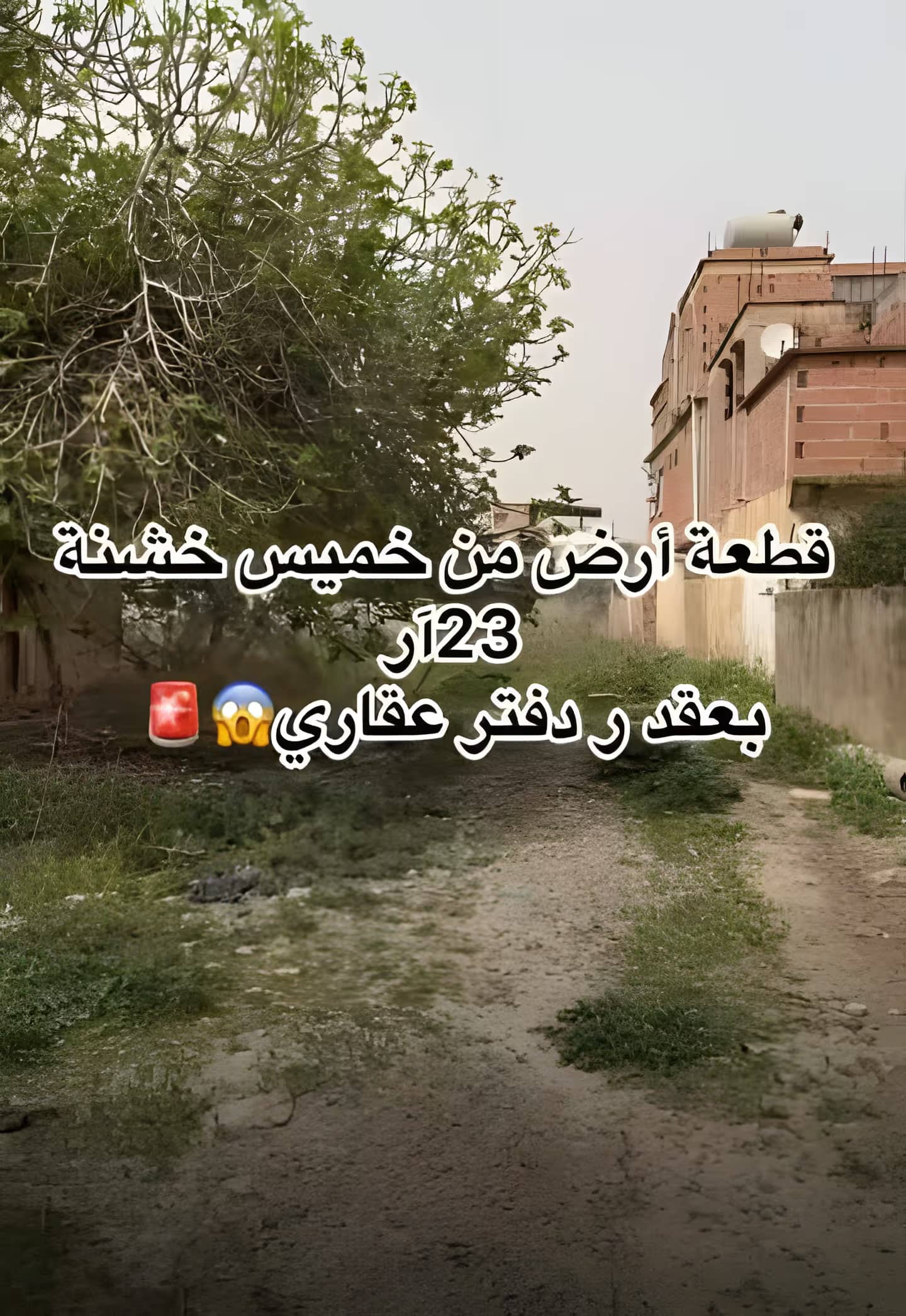 Vente Terrain Boumerdès Khemis El Khechna-0