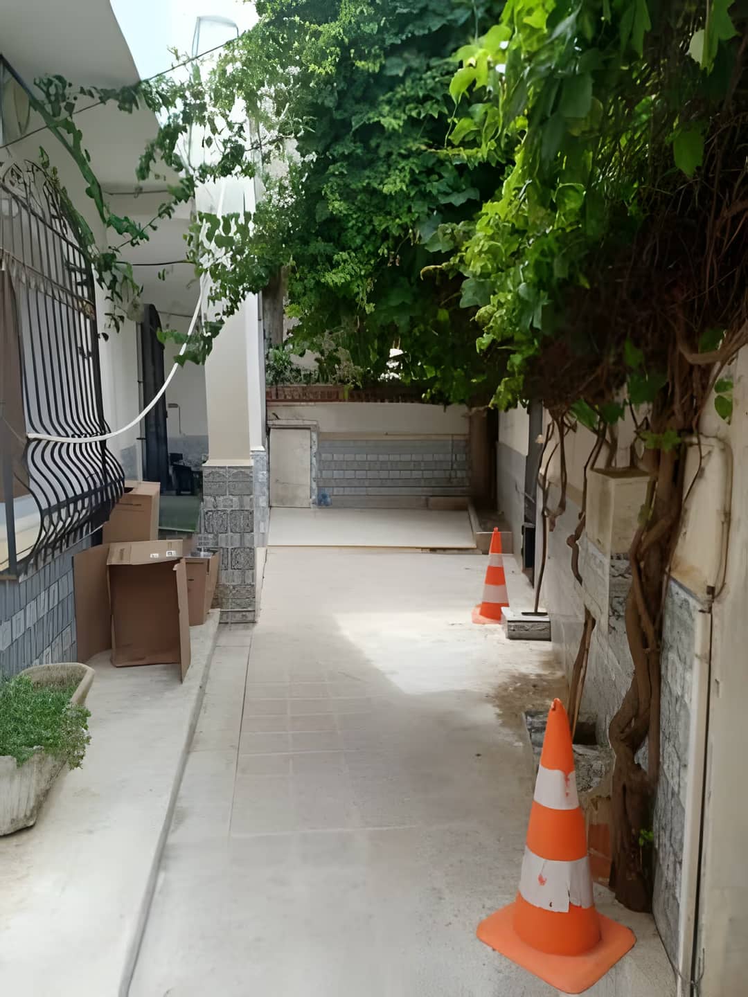 Location Villa Alger Cheraga - Photo 2